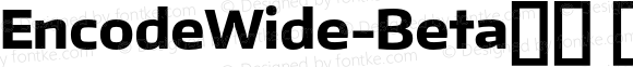 EncodeWide-Beta36 800 ExtraBold Regular