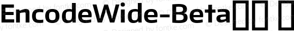 EncodeWide-Beta36 700 Bold Regular