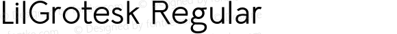 LilGrotesk Regular