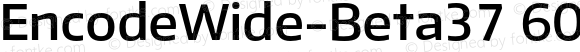 EncodeWide-Beta37 600 SemiBold Regular