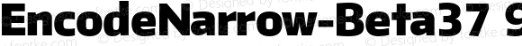 EncodeNarrow-Beta37 900 Black Regular