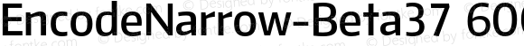 EncodeNarrow-Beta37 600 SemiBold