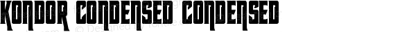 Kondor Condensed Condensed