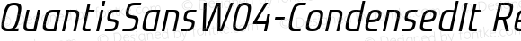 QuantisSansW04-CondensedIt Regular