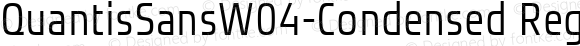 QuantisSansW04-Condensed Regular