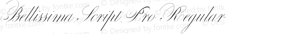 Bellissima Script Pro Regular