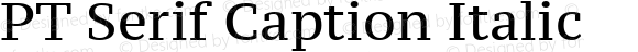 PT Serif Caption Italic