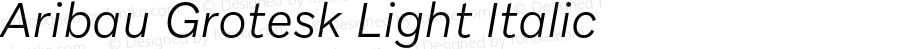 AribauGrotesk-LightItalic