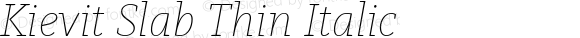 Kievit Slab Thin Italic