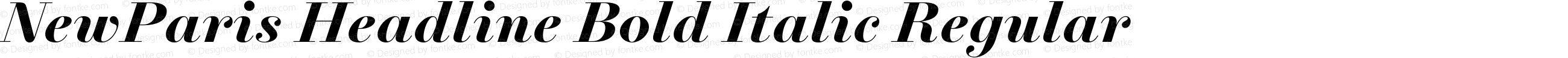 NewParis Headline Bold Italic