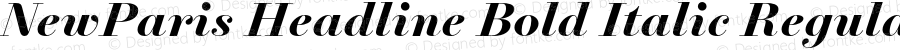 NewParis Headline Bold Italic