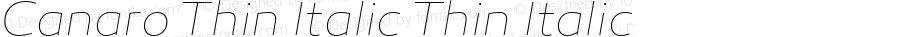 Canaro-ThinItalic