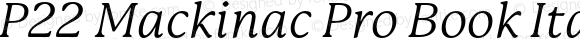 P22 Mackinac Pro Book Italic