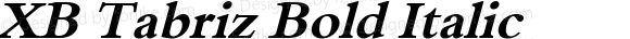 XB Tabriz Bold Italic