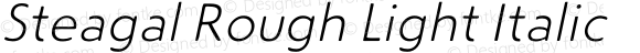 Steagal Rough Light Italic