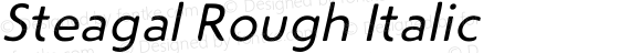 Steagal Rough Italic