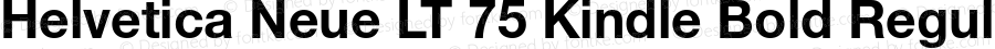 Helvetica Neue LT 75 Kindle Bold