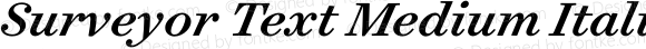 Surveyor Text Medium Italic