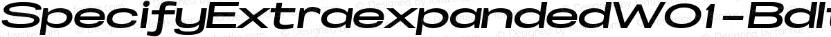SpecifyExtraexpandedW01-BdIt Regular