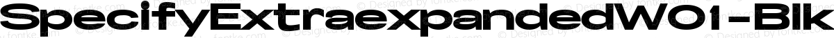 SpecifyExtraexpandedW01-Blk Regular