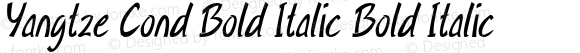 Yangtze Cond Bold Italic Bold Italic
