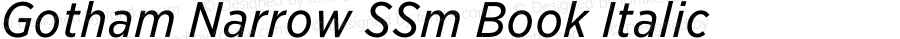 Gotham Narrow SSm Book Italic