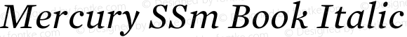 Mercury SSm Book Italic