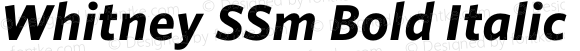 Whitney SSm Bold Italic