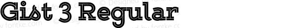 Gist 3 Regular Version 1.000;com.myfonts.yellow-design.gist.upright-black.wfkit2.46hS