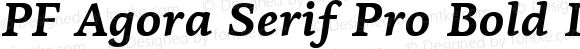 PF Agora Serif Pro Bold Italic