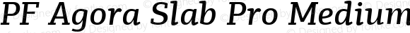 PF Agora Slab Pro Medium Italic