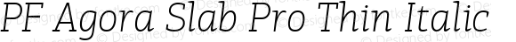 PF Agora Slab Pro Thin Italic