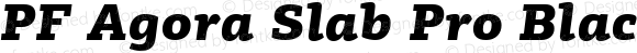 PF Agora Slab Pro Black Italic