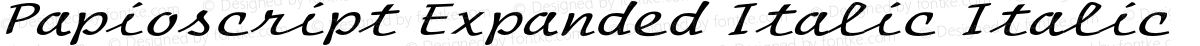 Papioscript Expanded Italic Italic