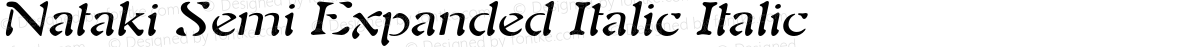 Nataki Semi Expanded Italic Italic