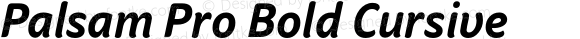 Palsam Pro Bold Cursive