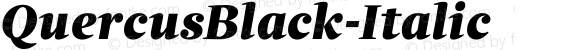 ☞QuercusBlack-Italic