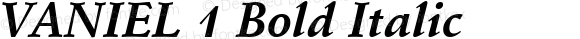 VANIEL 1 Bold Italic