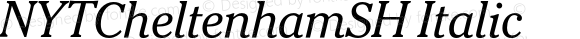 NYTCheltenhamSH Italic