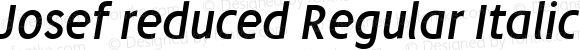 Josef reduced Regular Italic