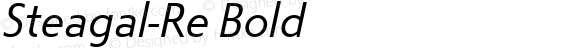 Steagal-Re Bold 1.000;com.myfonts.easy.insigne.steagal.italic.wfkit2.version.3UyM