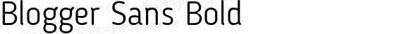 Blogger Sans Bold