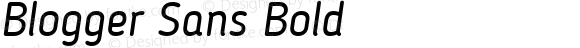 Blogger Sans Bold