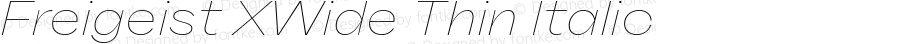 Freigeist XWide Thin Italic