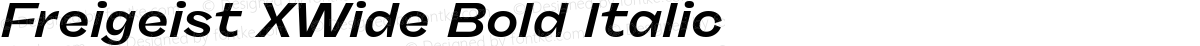 Freigeist XWide Bold Italic