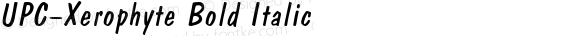 UPC-Xerophyte Bold Italic