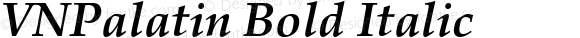 VNPalatin Bold Italic