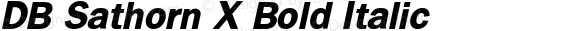 DB Sathorn X Bold Italic Version 3.100 2007