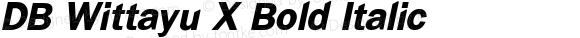 DB Wittayu X Bold Italic