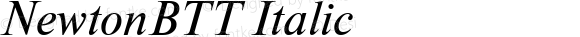 NewtonBTT Italic